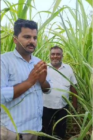 प्रोडक्ट डिटेल